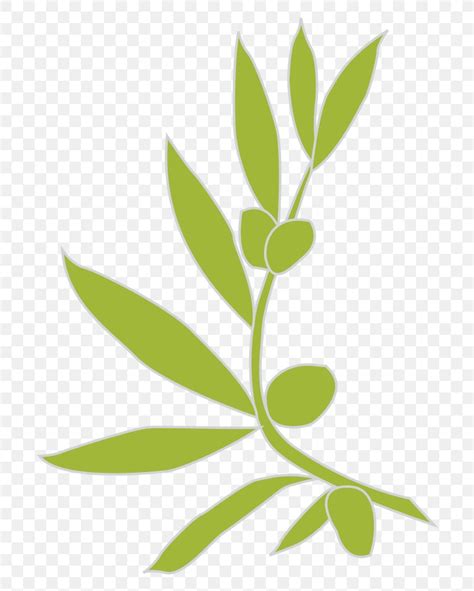 Logo Olive Branch, PNG, 724x1024px, Logo, Branch, Drawing, Flora, Grass ...