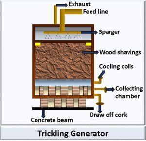 What is Acetic Acid Production? Definition, Process, Biosynthesis & Uses - Biology Reader