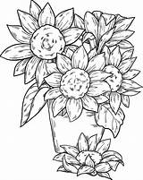 A Bunch Of Sunflowers Coloring Page  Free Printable Pages For sketch template
