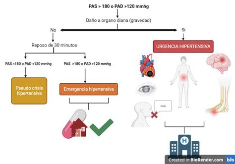 Crisis hipertensivas: Complicación de una enfermedad silenciosa - Ocronos - Editorial Científico ...
