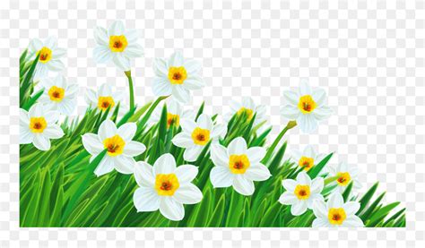 Download Daffodil Clipart Spring Break 2 Clip Art Free - Transparent Background Clip Art Flower ...