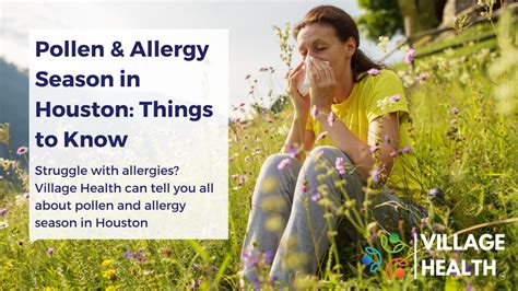 Pollen & Allergy Season in Houston: Things to Know