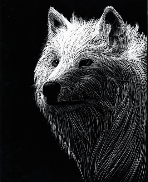 Scratchboard Howl by Am8er on DeviantArt