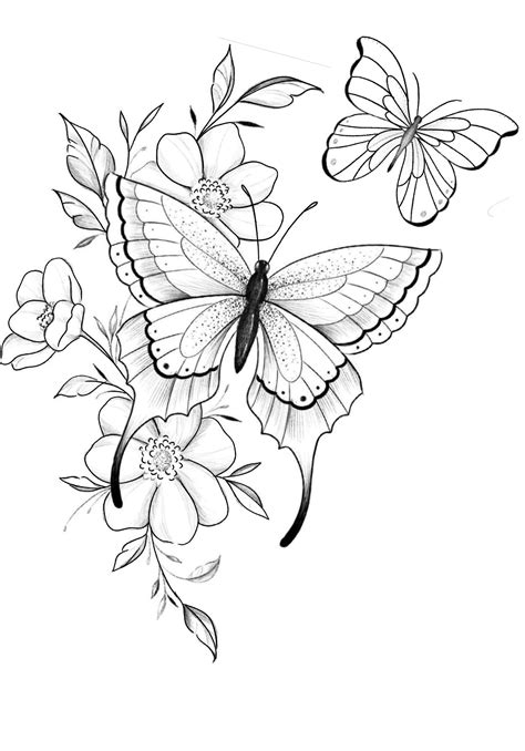 Easy Flower And Butterfly Drawing at Edward Carranza blog