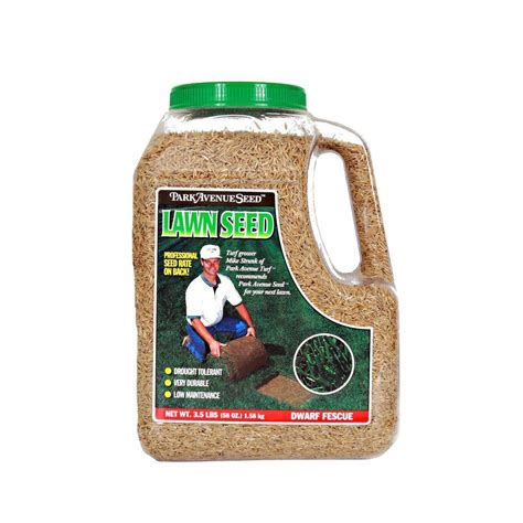 Park Avenue Turf 3.5 lb. Dwarf Fescue Lawn Seed-359241 - The Home Depot