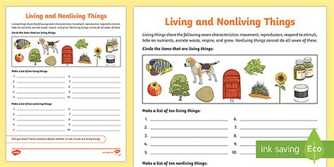 living and non living things worksheets for preschools - living and nonliving things worksheet ...