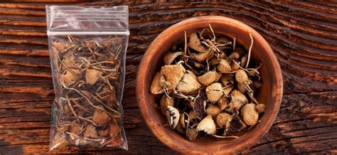 Oregon Legalizes Psilocybin Therapy by Passing Measure 109