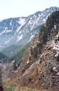 Yash Veer Bhatnagar - Conservation of the Pir Panjal Markhor in Kashmir ...