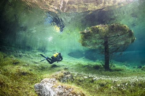 森の中を泳ぐ光景？2ヶ月だけ現れる幻の湖【n】|ミライノシテン