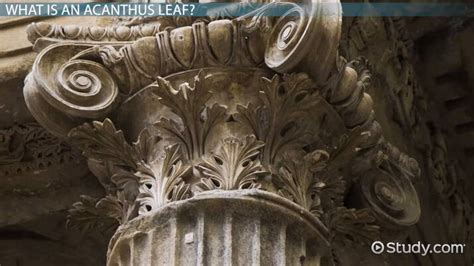 Acanthus Leaves in Architecture & Design - Lesson | Study.com