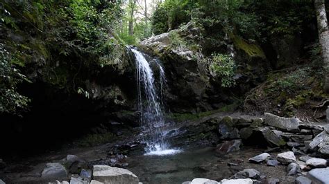 Hiking to Grotto Falls in the Great Smoky Mountains | wbir.com