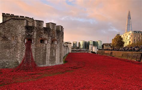 20 Jaw-Dropping Photos Of Poppies In Honor Of Remembrance Day | Tower of london, Poppies, Poppy ...