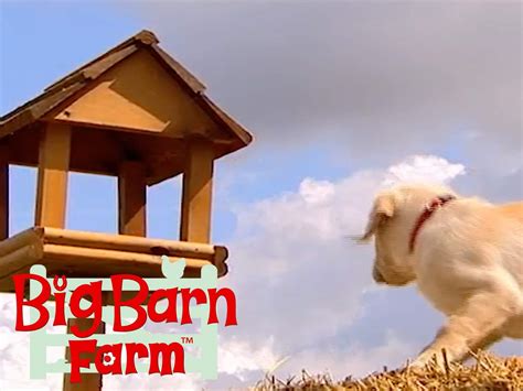 Watch Big Barn Farm | Prime Video