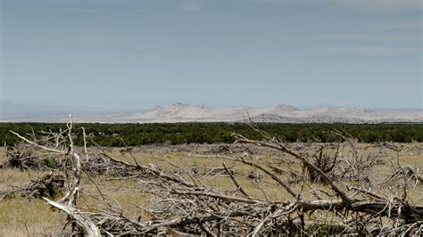 Camping in the desert on Behance