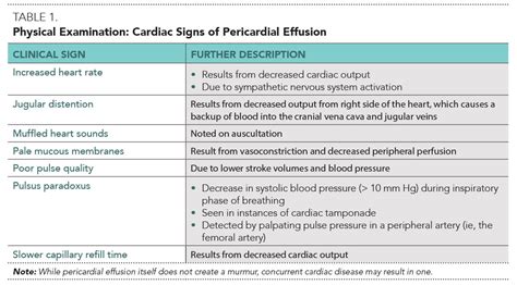 Responding to a Cardiac Emergency: Pericardial Effusion in Canine Patients | Today's Veterinary ...