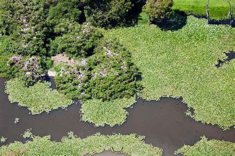 Aerial Stock Image - Chipping Norton Lake