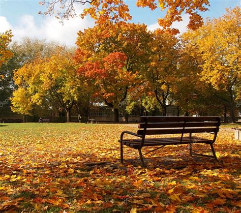 Autumn and park bench. — Stock Photo © BIKER11960 #88013472