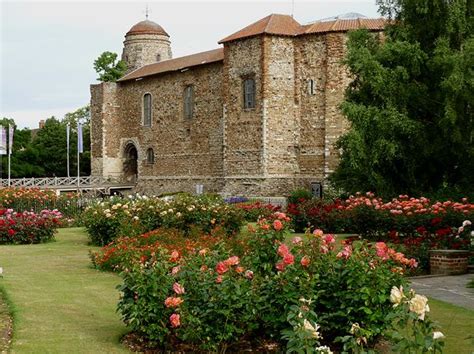 Colchester Castle Museum (Colchester) - Visitor Information & Reviews