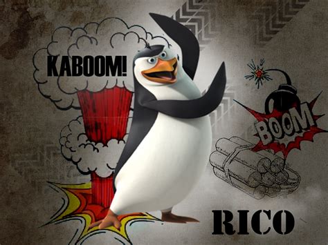 Rico - Penguins of Madagascar Wallpaper (27270151) - Fanpop