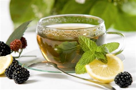 Best Tea for Weight Loss – Quality over Quantity in Cups