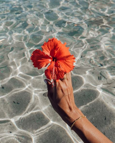 a person holding a flower in the water