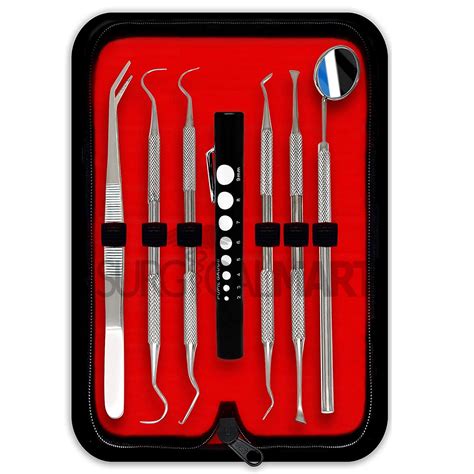 5 Pcs Dental Oral Hygiene Kit with Penlight & Brush | Surgical Mart