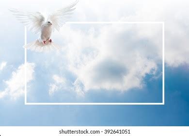 Sky Funeral Background Stock Illustration 392641051 | Shutterstock