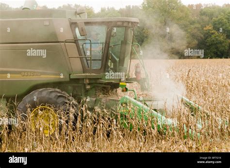 corn picker harvesting corn Stock Photo - Alamy