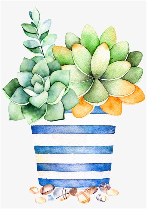 Watercolor Succulents Svg