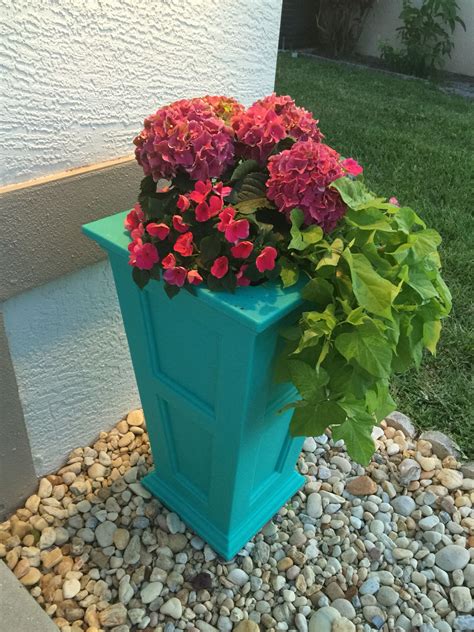 Shade Planter idea - teal tall planter with pink hydrangeas, impatiens and potato vine ...