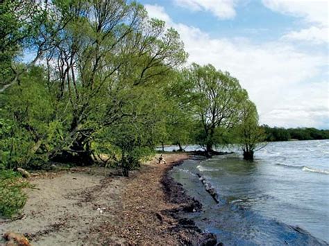 Lough Neagh | lake, Northern Ireland, United Kingdom | Britannica