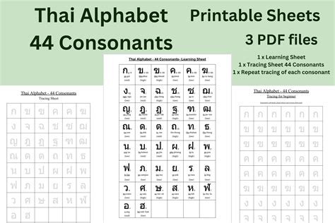 Printable Sheets Thai Alphabet Consonant Graphic by Designs by Vachira ...