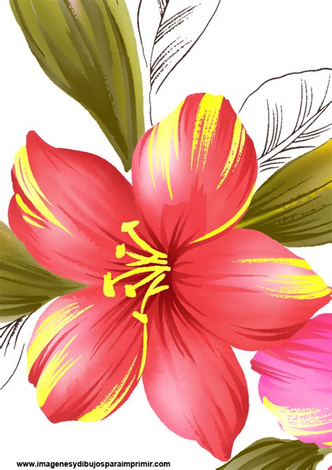 Dibujos de flores | Imagenes y dibujos para imprimir