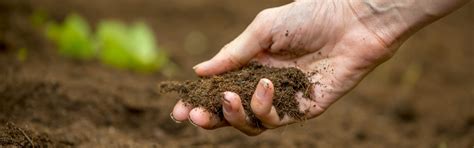 Soil Conservation Methods For Maintaining Farmlands' Fertility