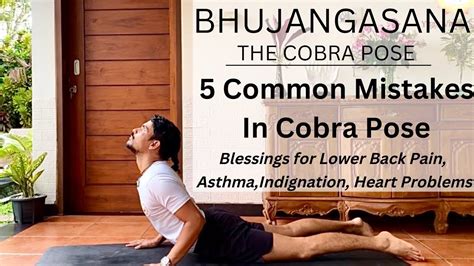 5 MISTAKES IN COBRA POSE | BHUJANGASANA | COBRA POSE | | YOGA FOR ...