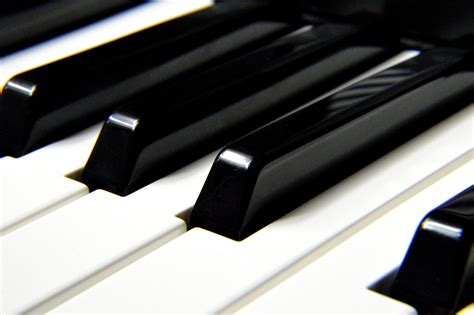 Types of Piano Keys | Ogden Piano Gallery