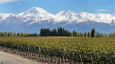 9 Argentine Malbec Wines that Pack a Punch