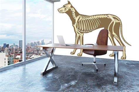 Skeleton of dog section with bones x ray Wall Mural Wallpaper | Canvas Art Rocks – Canvas Art ...