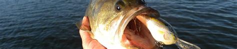 Crankbait Tips And Tactics | The Ultimate Bass Fishing Resource Guide® LLC