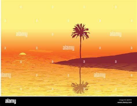 Red sunset on a tropic beach . Vector illustration Stock Vector Image & Art - Alamy