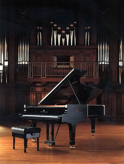 Steinway | Piano de cola, Teclas de piano, Piano