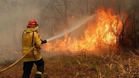 Bushfires NSW: Photos, images reveal widespread devastation, aftermath | NT News