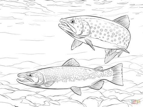 Brook Trout Coloring Page at GetColorings.com | Free printable ...