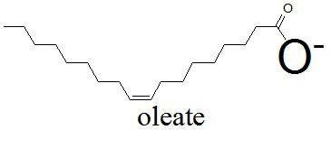 What would be the chemical structure Oleate? | ResearchGate