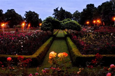 Peninsula Park in NE | Rose garden portland, Portland oregon style ...