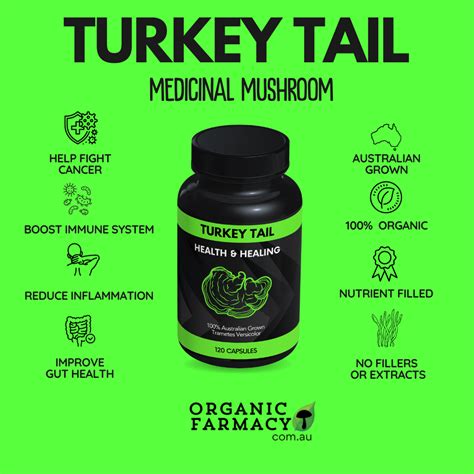 Australian Turkey Tail Capsules - Organic Farmacy