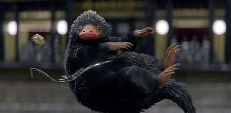 Niffler (Fantastic Beasts and Where to Find Them) « Celebrity Gossip and Movie News