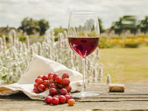 What are the Several Benefits of Using Natural Wines? | Food On Our Tables