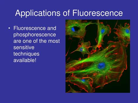 PPT - Fluorescence Spectroscopy PowerPoint Presentation, free download - ID:147594