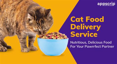 Cat Food Delivery Service: Nutritious, Delicious Food For Your Pawrrfect Partner!